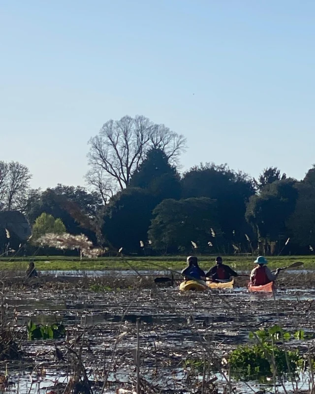 Amazing paddle today, photos by the lovely and brave Dee #kayak #thames