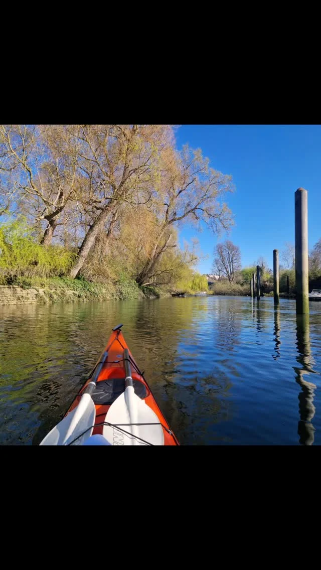 What a beautiful day on the river! 

#kayakthames #London #Richmond #paddleuk