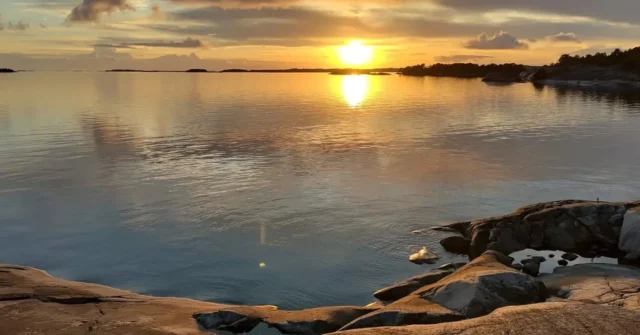 Check out these spectacular photos from members Sarah & Catherine's kayaking adventure in the Finnish Archipelago.

The scenery is stunning- and so are the boat colours! 

Where has kayaking taken you this summer? 

We love to share our members photos - if you have some kayaking photos you'd like to share, please send them to enquiries or DM them here

#Kayaking #FinnishArchipelago #DesignKayaks #ArchipelagoCentreKorpoström