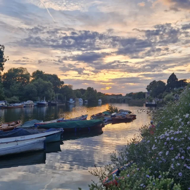 Beautiful sunset in Richmond tonight. There are still spaces for our Richmond paddle tomorrow